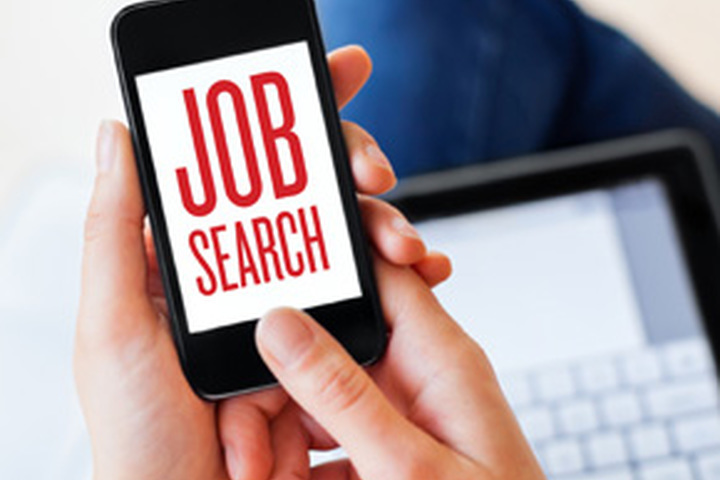 Job search sites