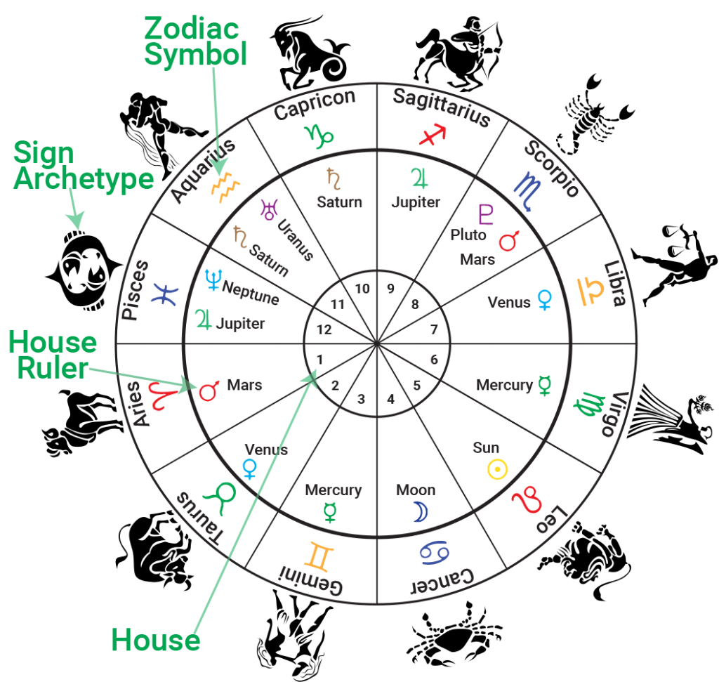 Birth Chart